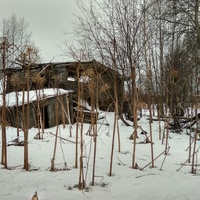 разрушенный дом в д. Кожинская