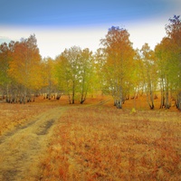 Василий Саперов п.Остроленский.