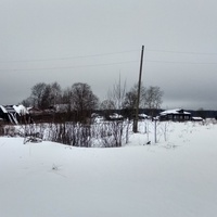 окрестности заброшенной деревни Илюхинская