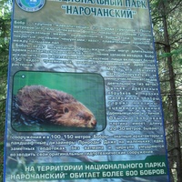 Информационный щит у озера Глубелька