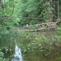 Через реку Страча можно перейти и по упавшему дереву