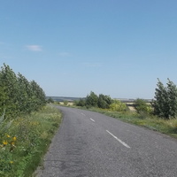 Елизавето-Николаевка. Дорога в село