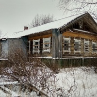 дом в д. Боровская