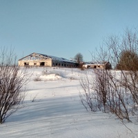 заброшенная ферма в д. Демьяновская