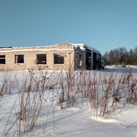 заброшенное здание гаража в д. Демьяновская
