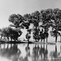Коренево, Кореневский пруд, 1955 г.