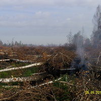 После пожара на карьерах между Кервой и Долгушами