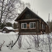 дом в д. Игумновская