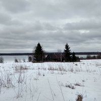 панорама озера Пушторское в д. Сапогово