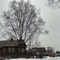 улица в Новокемском