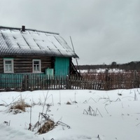 дом в д. Мосеево