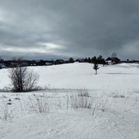панорама деревни Левинская