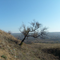 Панорама на Георгиевку.