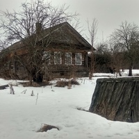 дом в д. Косариха