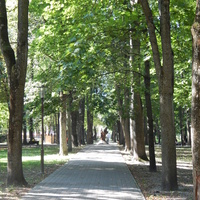 Аллея парка имени А.В.Суворова