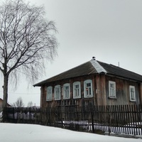 дом в д. Шенурово