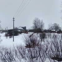 панорама д. Пашинская