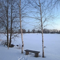 Скамейка у зимнего пруда.