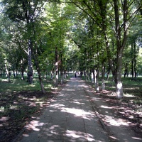 Ширяево. Центральный парк культуры и отдыха.