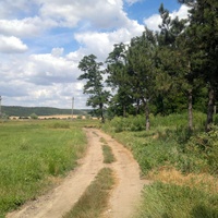 Просёлочная дорога вдоль реки Большой Куяльник.