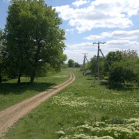 Сельская дорога.
