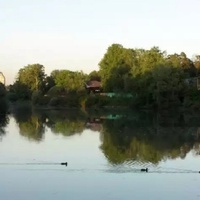 Немчиновский пруд