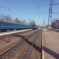 Карантинные поезда на станции Синельниково-1.