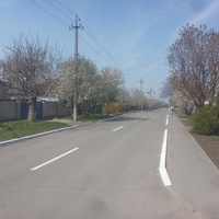 Цветущая улица имени Павла Тычины.