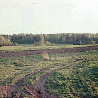 Волково, 1990 г.