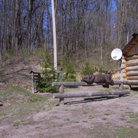 Деревянная скульптура спящего медведя.