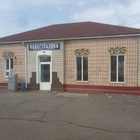 Здание вокзала железнодорожной станции Новогупаловка.