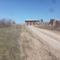 Технологическая дорога из карьера на кирпичный завод. Слева- бывшая трасса узкоколейной железной дороги.