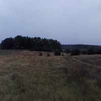 Вид на деревню Полонск со стороны деревни Власовичи