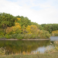 Пруд и лес Запольный в окрестностях села.