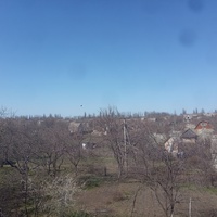 Вид на дачные участки в старом карьере Синельниковского кирпичного завода.