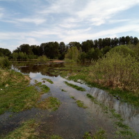 Весенний разлив Ореховки.