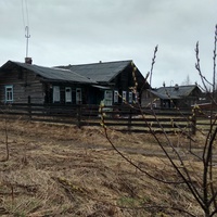 дом в д. Марачевская