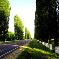 Дорога на Воробьёвку