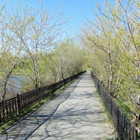 Дорога к мосту