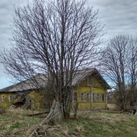 дом в д. Давыдовская