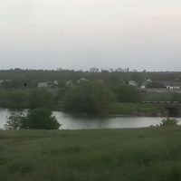 Пруд на притоке реки Вольнянка.