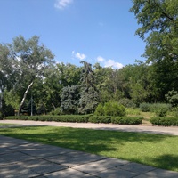 Аллея парка Шевченко.