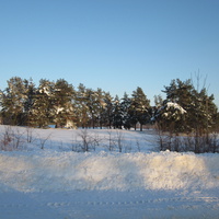 Зимний лес у Таволжанки.