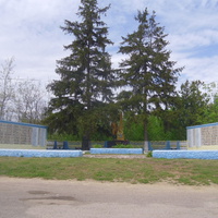 Братская могила и памятник погибшим односельчанам в с. Цибулево Знаменского района.