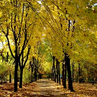 Алексеевский сквер осенью