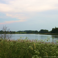 Вид с северо - востока на д. Васильки и водохранилище на руч. Борщевка