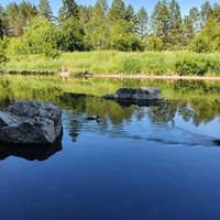 Природный парк Оленьи ручьи. Река Серга.