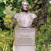 Памятник Ежевскому
