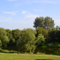 Берег реки Орлик в районе парка "Дворянское гнездо".