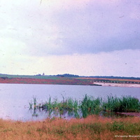 Водохранилище в д. Васильки, 1990 г.